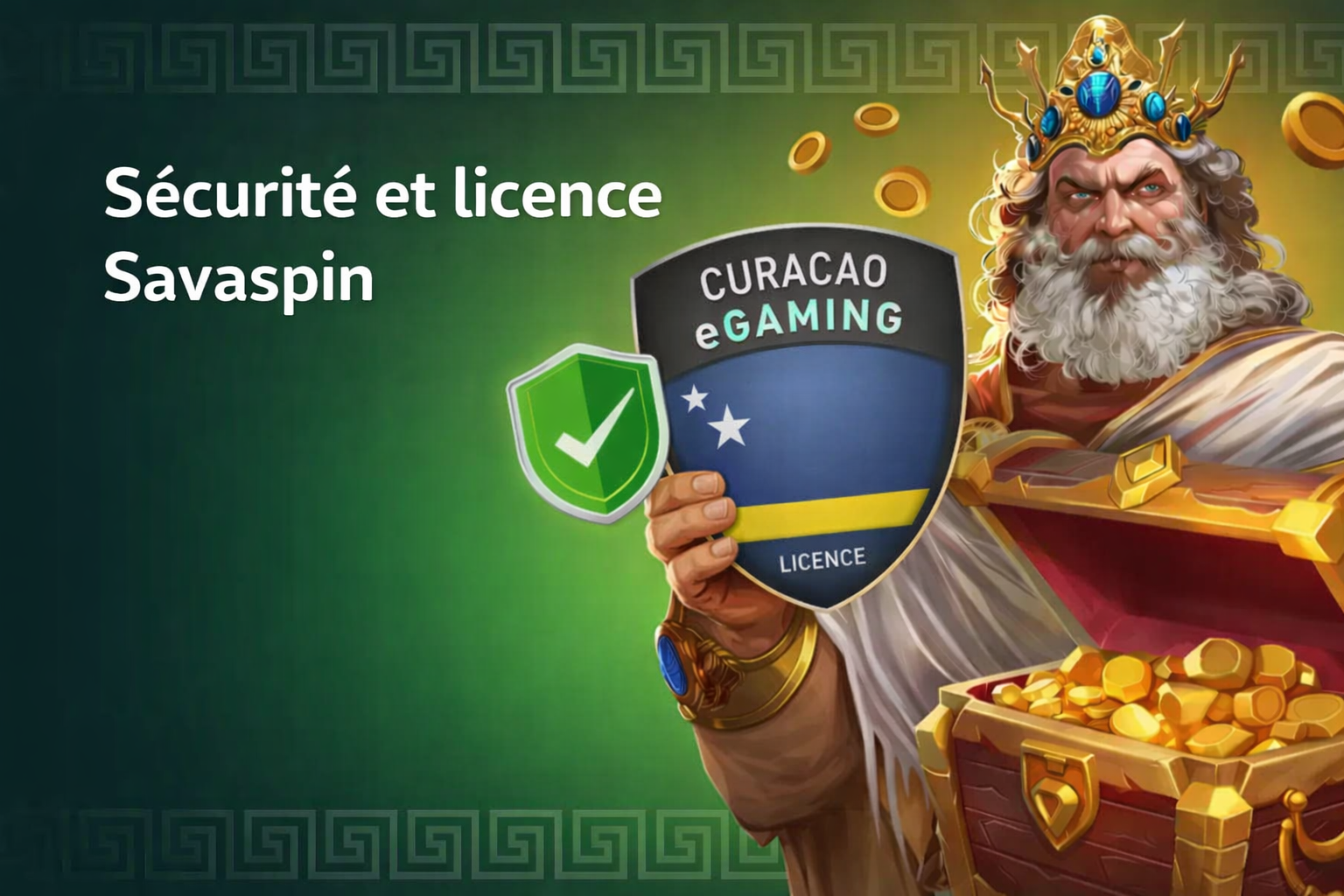 Sécurité et licence Savaspin
